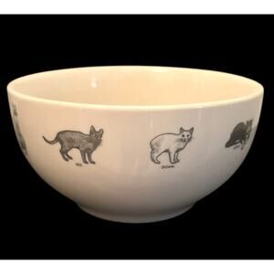 Fishs Eddy Cat Behavior Porcelain Bowl Black White Illustration Design Made USA